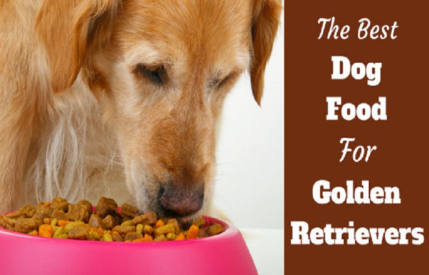 Discover the Golden Benefits of Pork Dog Food for Your Pet
