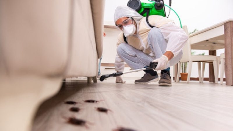What should be the notable frequency to get pest control in your house?