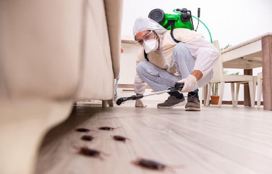 What should be the notable frequency to get pest control in your house?