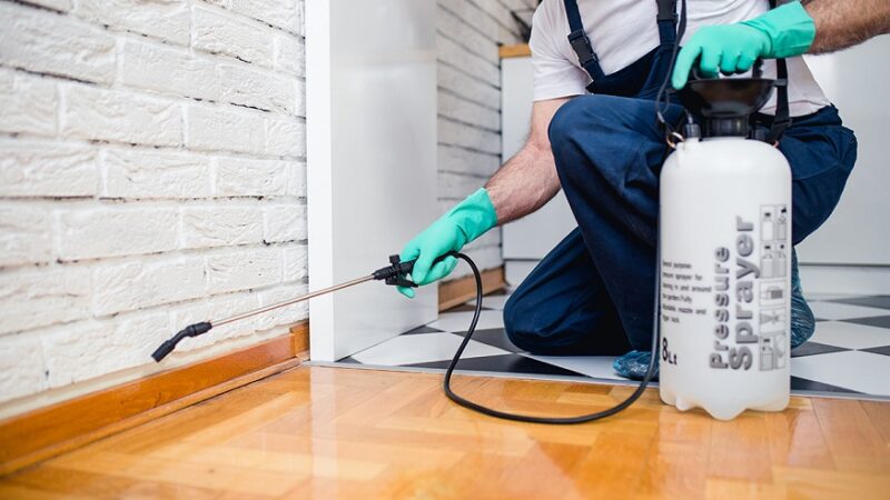 The Advantages of Working With a Pest Control Specialist