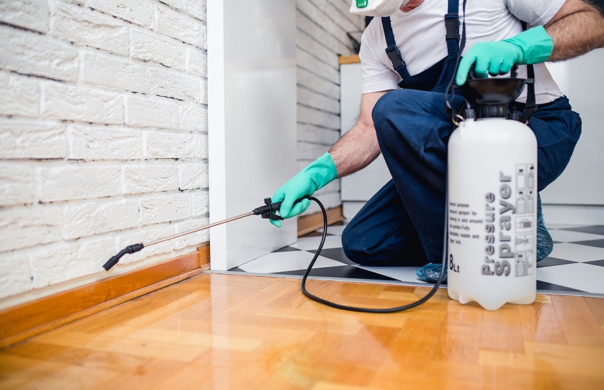 The Advantages of Working With a Pest Control Specialist