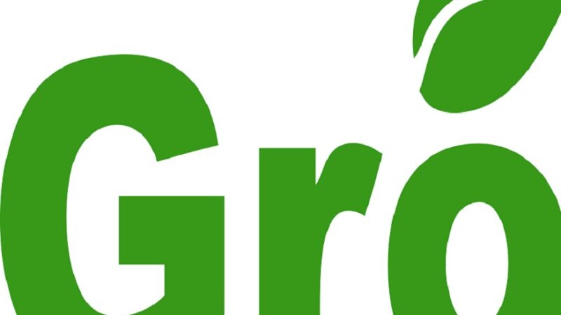 GRO firms: benefits and strategies